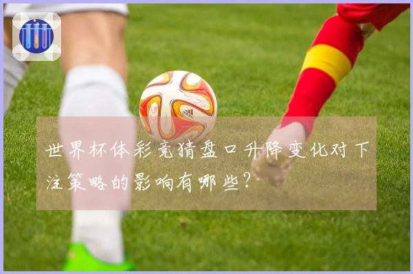 世界杯体彩竞猜盘口升降变化对下注策略的影响有哪些？