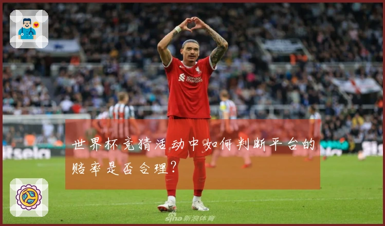 世界杯竞猜活动中如何判断平台的赔率是否合理？