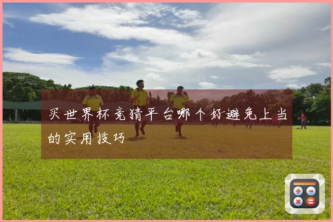 买世界杯竞猜平台哪个好避免上当的实用技巧