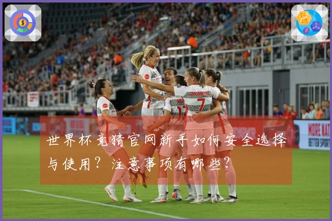 世界杯竞猜官网新手如何安全选择与使用？注意事项有哪些？
