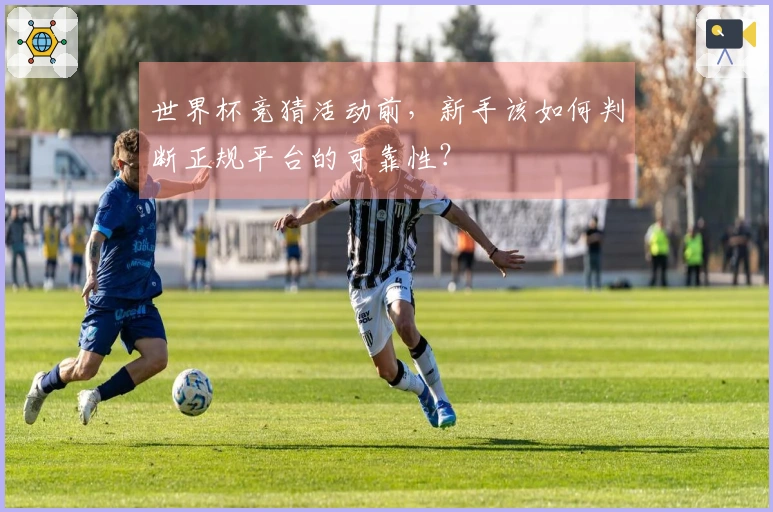 世界杯竞猜活动前，新手该如何判断正规平台的可靠性？