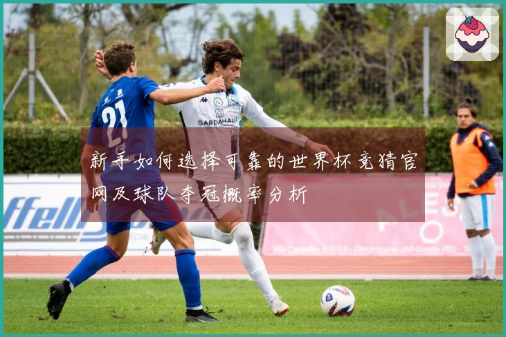 新手如何选择可靠的世界杯竞猜官网及球队夺冠概率分析